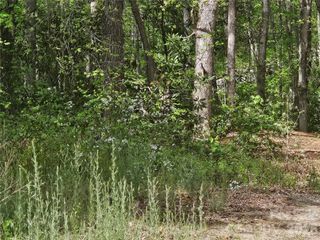 22 Graulich Lane 6, Candler, NC 28715