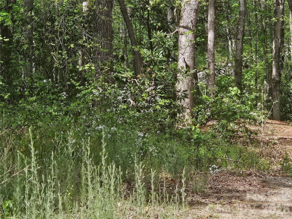 22 Graulich Lane 6, Candler, NC 28715