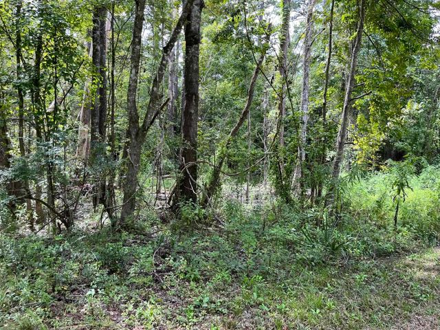 XXX Jetty Avenue, Quincy, FL 32351