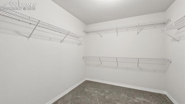 8567 Besson Court, Colorado Springs, CO 80925