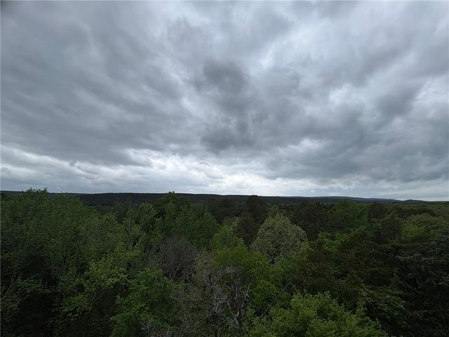 10272 Miller Road, Ola, AR 72853