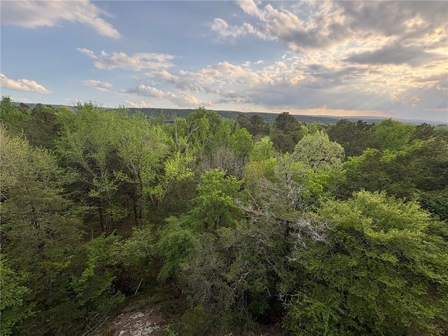 10272 Miller Road, Ola, AR 72853