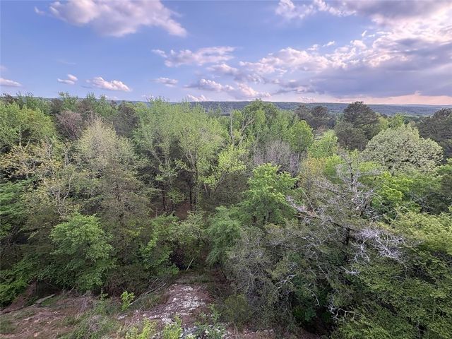 10272 Miller Road, Ola, AR 72853