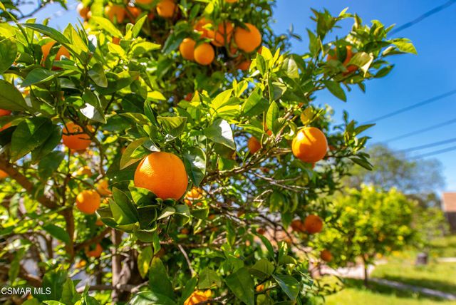 831 Calle Clavel, Thousand Oaks, CA 91360