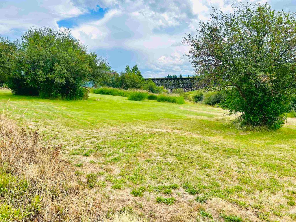 807 & 809 Trestle Drive, CottonWood, ID 83522 photo 23
