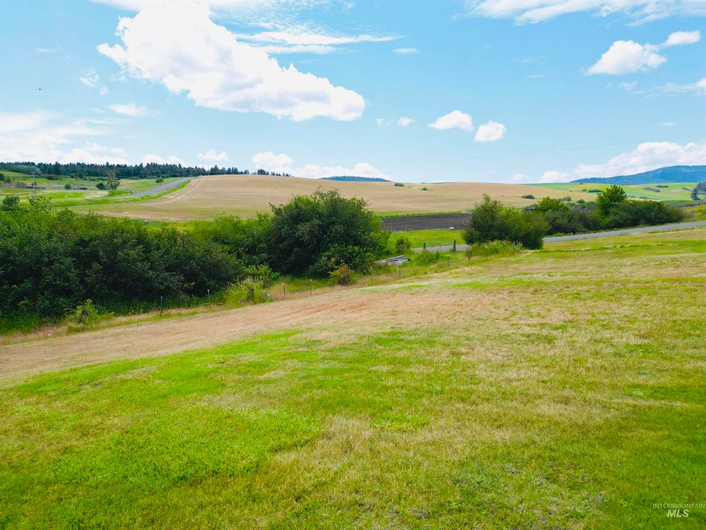 807 & 809 Trestle Drive, CottonWood, ID 83522 photo 5