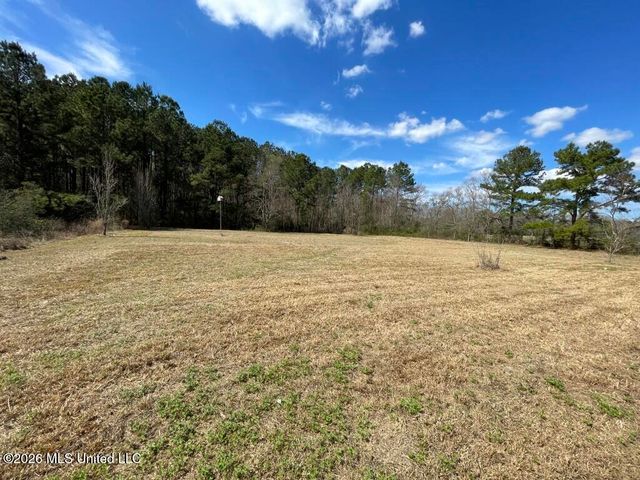 97 Rayburn Road, Carriere, MS 39426