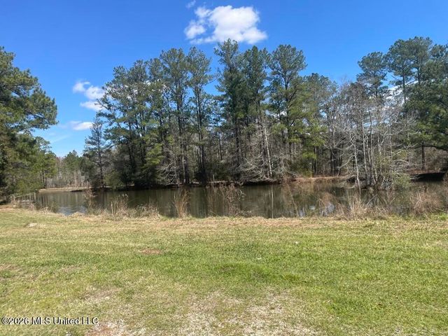 97 Rayburn Road, Carriere, MS 39426