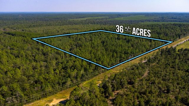 TBD Old Landfill Road, Defuniak Springs, FL 32433