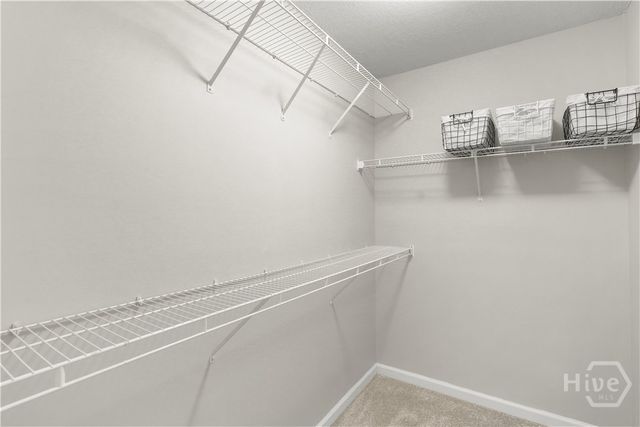 139 Pampas Drive, Pooler, GA 31322