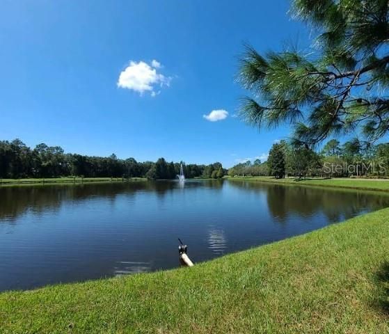 12415 BERKELEY SQUARE DRIVE, Tampa, FL 33626