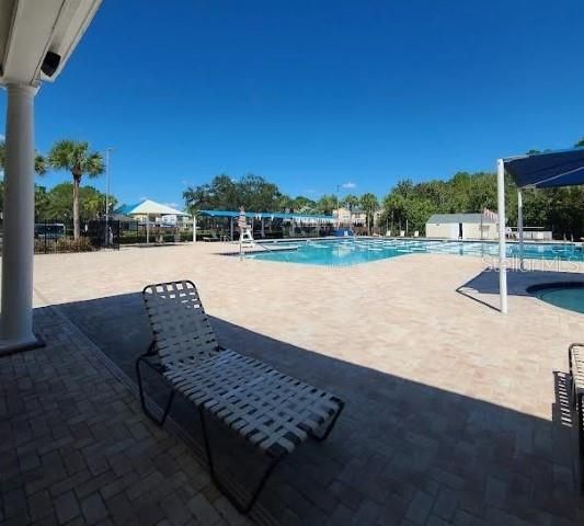 12415 BERKELEY SQUARE DRIVE, Tampa, FL 33626