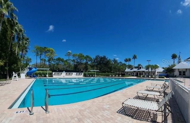 12415 BERKELEY SQUARE DRIVE, Tampa, FL 33626