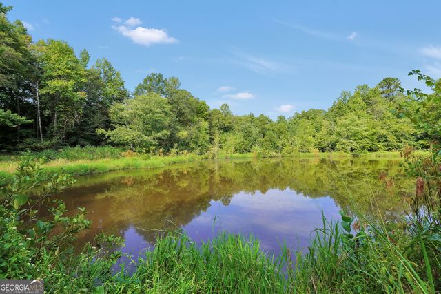 2186 Williamson Zebulon Road, Williamson, GA 30292