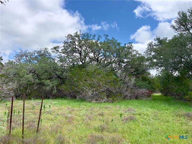 TBD Lot 43A Narrows Road 1, Blanco, TX 78606