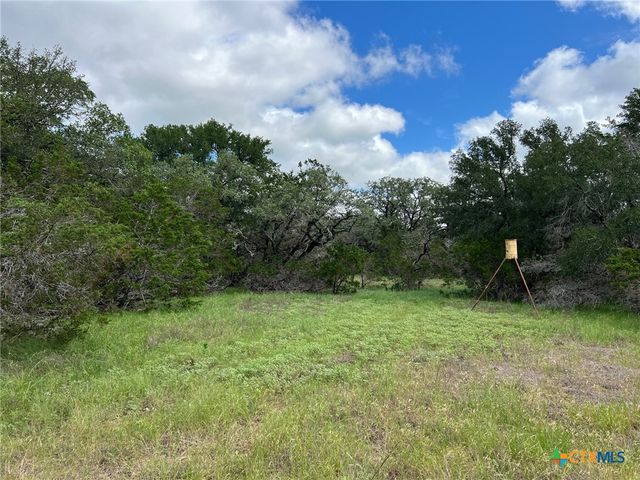 TBD Lot 43A Narrows Road 1, Blanco, TX 78606