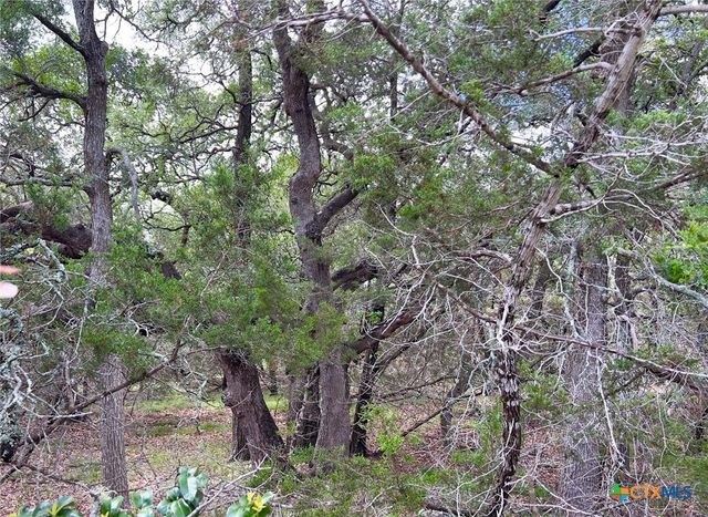 TBD Lot 43A Narrows Road 1, Blanco, TX 78606