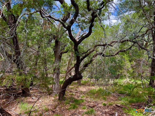 TBD Lot 43A Narrows Road 1, Blanco, TX 78606
