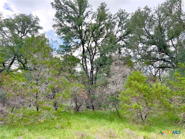 TBD Lot 43A Narrows Road 1, Blanco, TX 78606