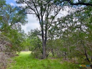 TBD Lot 43A Narrows Road 1, Blanco, TX 78606