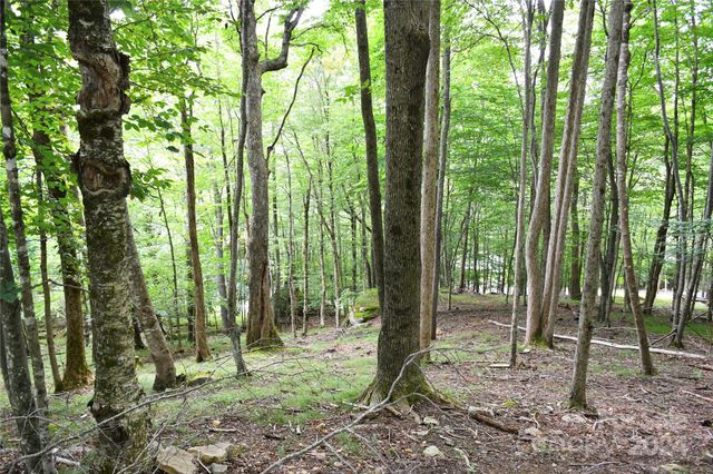 153 Hornbeam Road 115-B, Beech Mountain, NC 28604