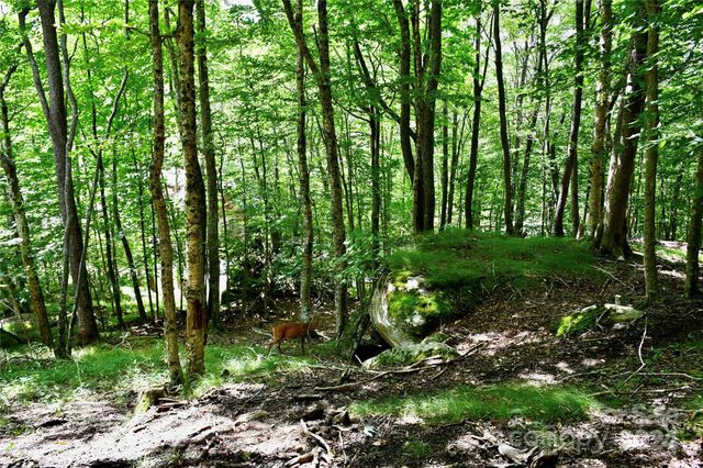 153 Hornbeam Road 115-B, Beech Mountain, NC 28604