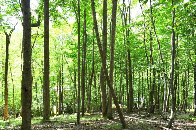 153 Hornbeam Road 115-B, Beech Mountain, NC 28604