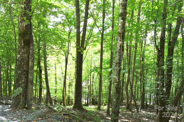 153 Hornbeam Road 115-B, Beech Mountain, NC 28604