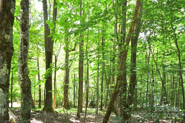 153 Hornbeam Road 115-B, Beech Mountain, NC 28604