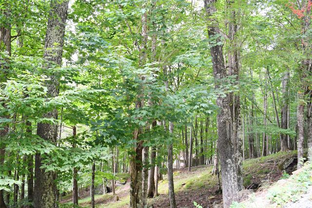 153 Hornbeam Road 115-B, Beech Mountain, NC 28604