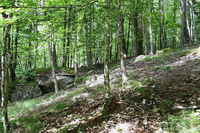 153 Hornbeam Road 115-B, Beech Mountain, NC 28604