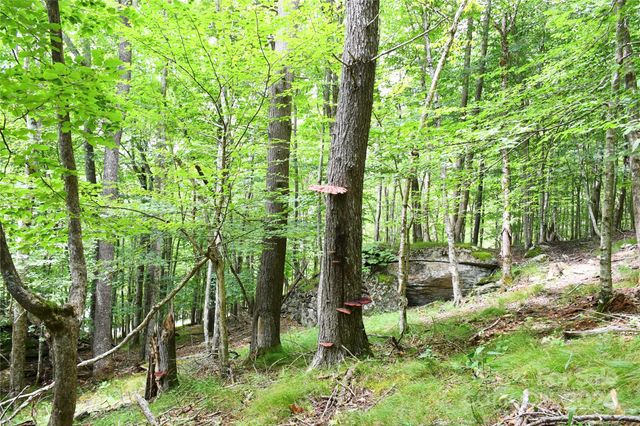 153 Hornbeam Road 115-B, Beech Mountain, NC 28604