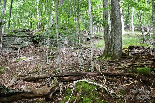 153 Hornbeam Road 115-B, Beech Mountain, NC 28604