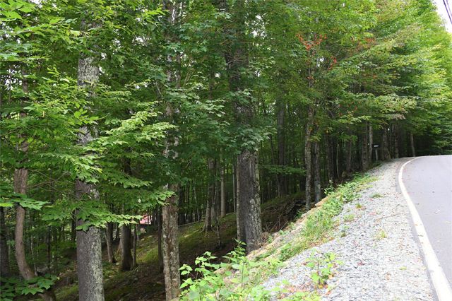 153 Hornbeam Road 115-B, Beech Mountain, NC 28604