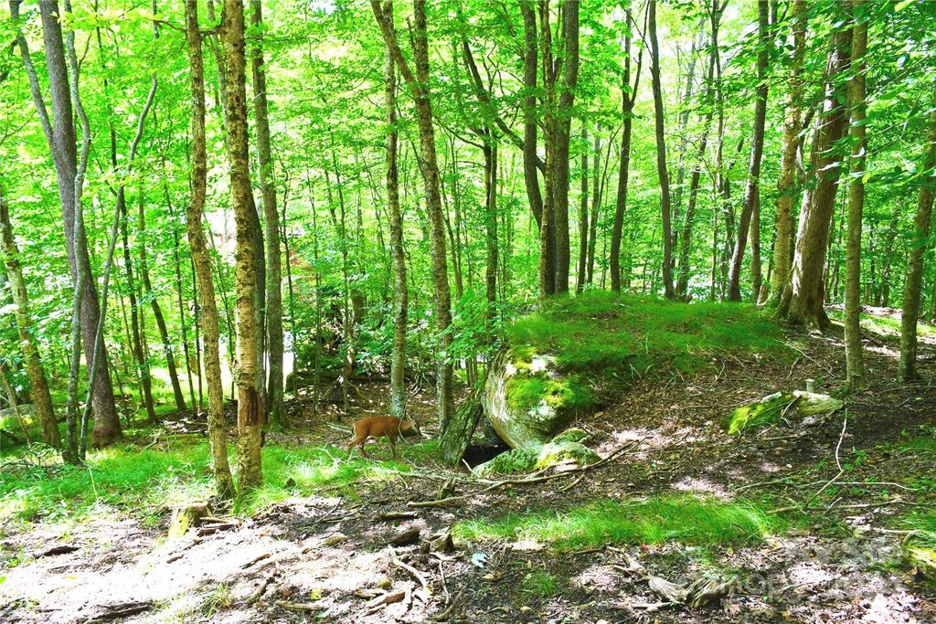 153 Hornbeam Road 115-B, Beech Mountain, NC 28604