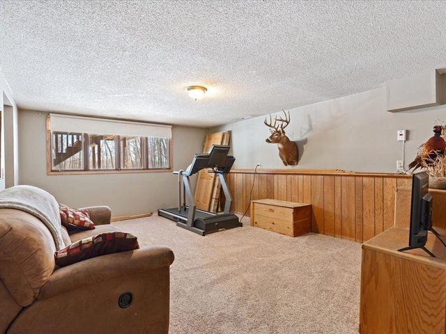 26904 Cedar Road, Cushing, MN 56443