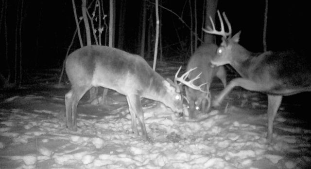 26904 Cedar Road, Cushing, MN 56443