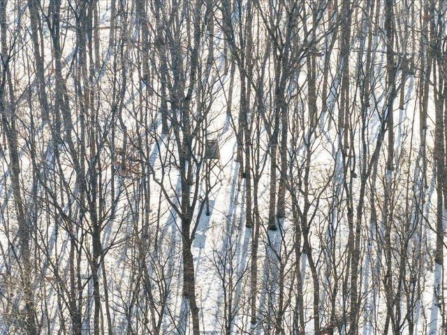 26904 Cedar Road, Cushing, MN 56443