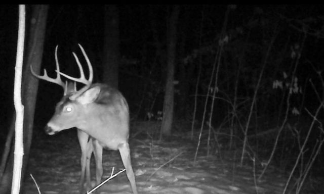 26904 Cedar Road, Cushing, MN 56443