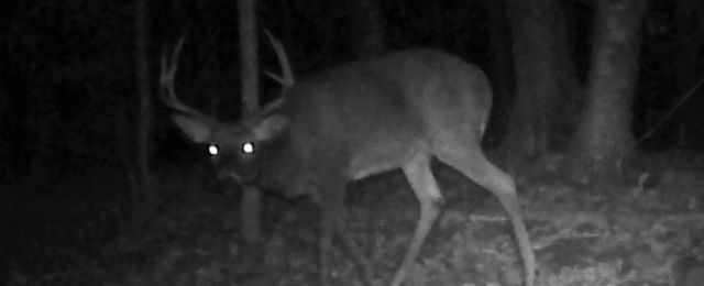 26904 Cedar Road, Cushing, MN 56443