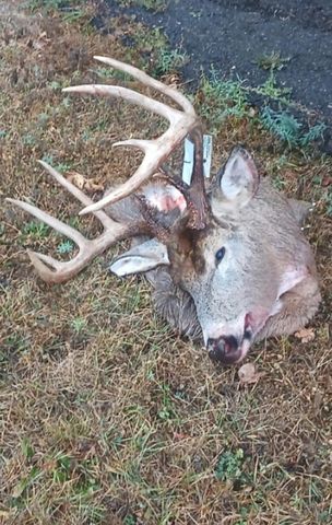 26904 Cedar Road, Cushing, MN 56443