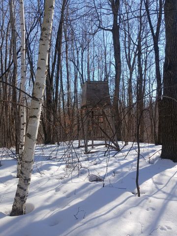 26904 Cedar Road, Cushing, MN 56443