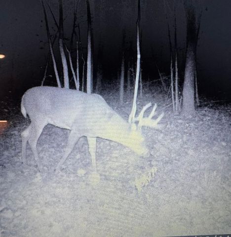 26904 Cedar Road, Cushing, MN 56443