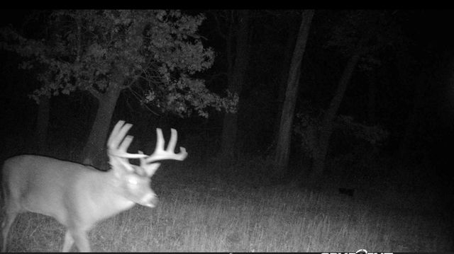 26904 Cedar Road, Cushing, MN 56443