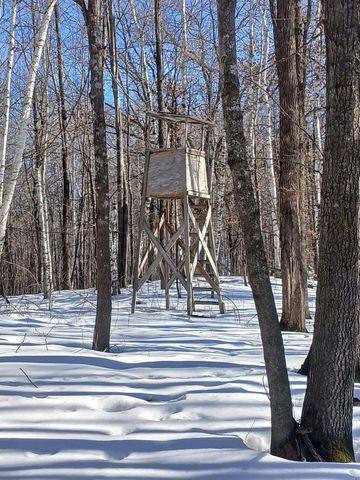 26904 Cedar Road, Cushing, MN 56443