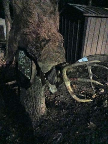 26904 Cedar Road, Cushing, MN 56443