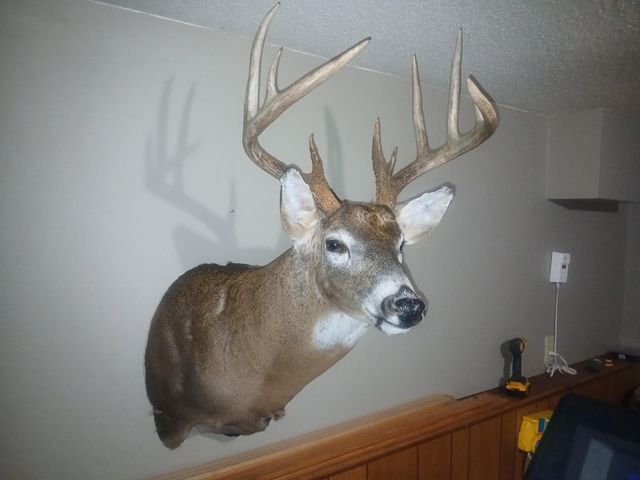 26904 Cedar Road, Cushing, MN 56443