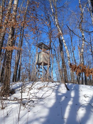 26904 Cedar Road, Cushing, MN 56443