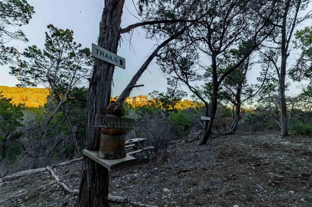 9201 SILVER PINE CV, Austin, TX 78733