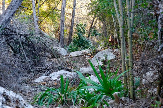 9201 SILVER PINE CV, Austin, TX 78733